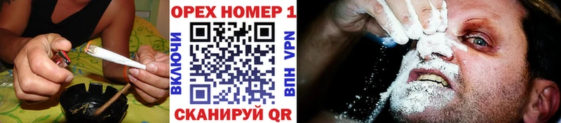 Купить закладки  Ачхой-Мартан  Кокаин Fish Scale 